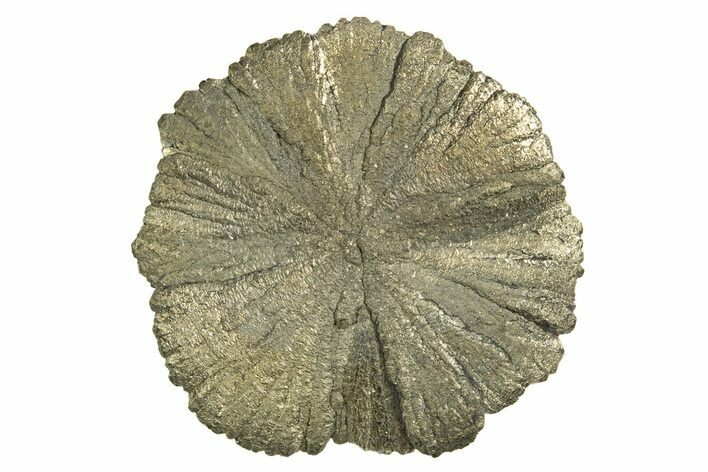 Radiant Pyrite Sun - Sparta, Illinois #342576